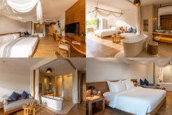 Hình phòng Deluxe Garden View Ana Mandara Cam Ranh